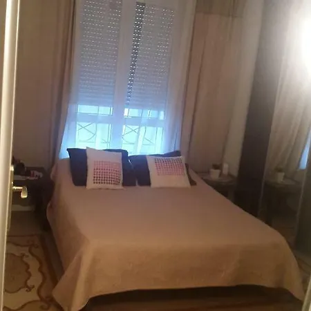 8 Rue Brise Echalas Appartement